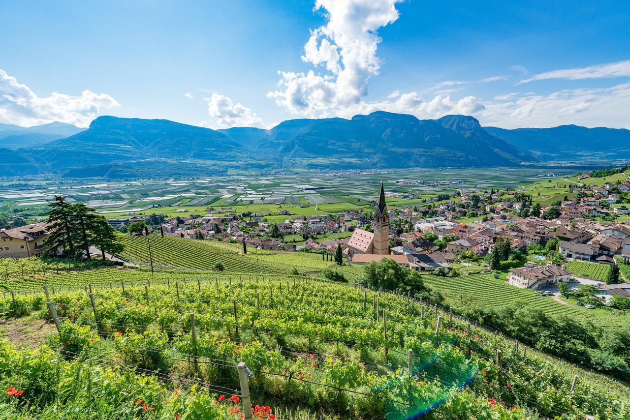 Vineus Tramin Hotel Termeno Kültér fotó